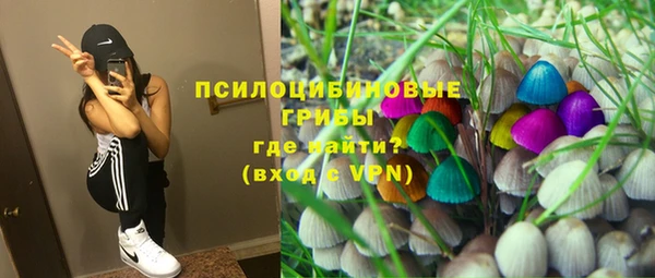 амф Абаза