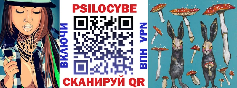 купить наркотик  Яхрома  Галлюциногенные грибы MAGIC MUSHROOMS 